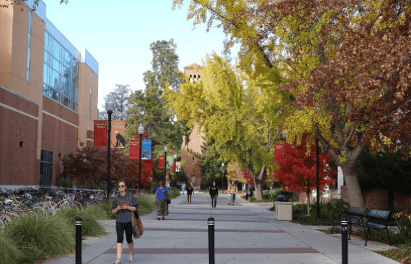 California State University